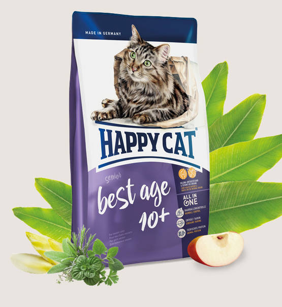 Happy Cat Best Age