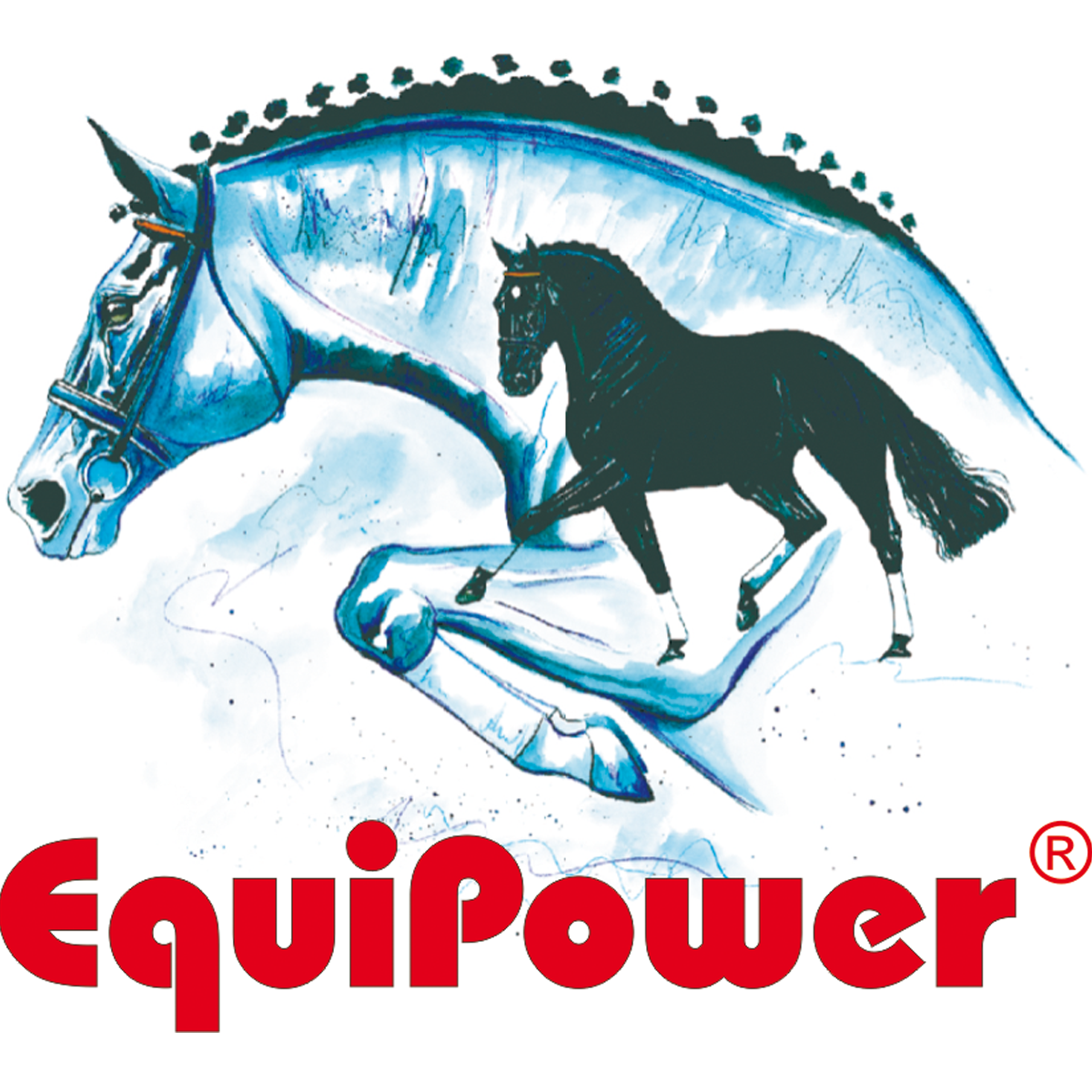 Equipower