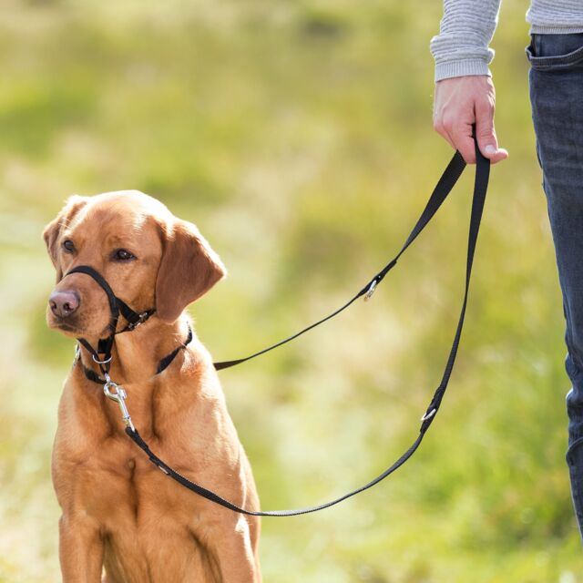 Trainingsgeschirr Top Trainer